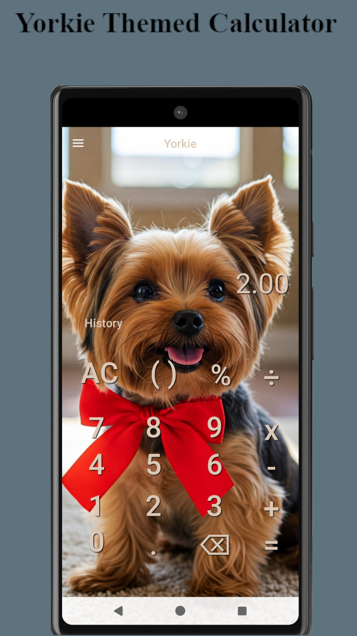 Yorkie Theme